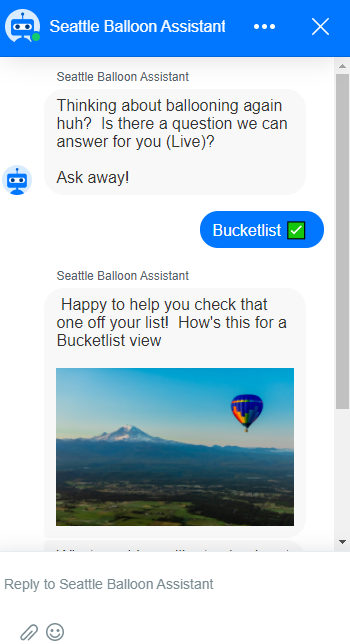 Chatbot Example - Seattle Balloon Assistant