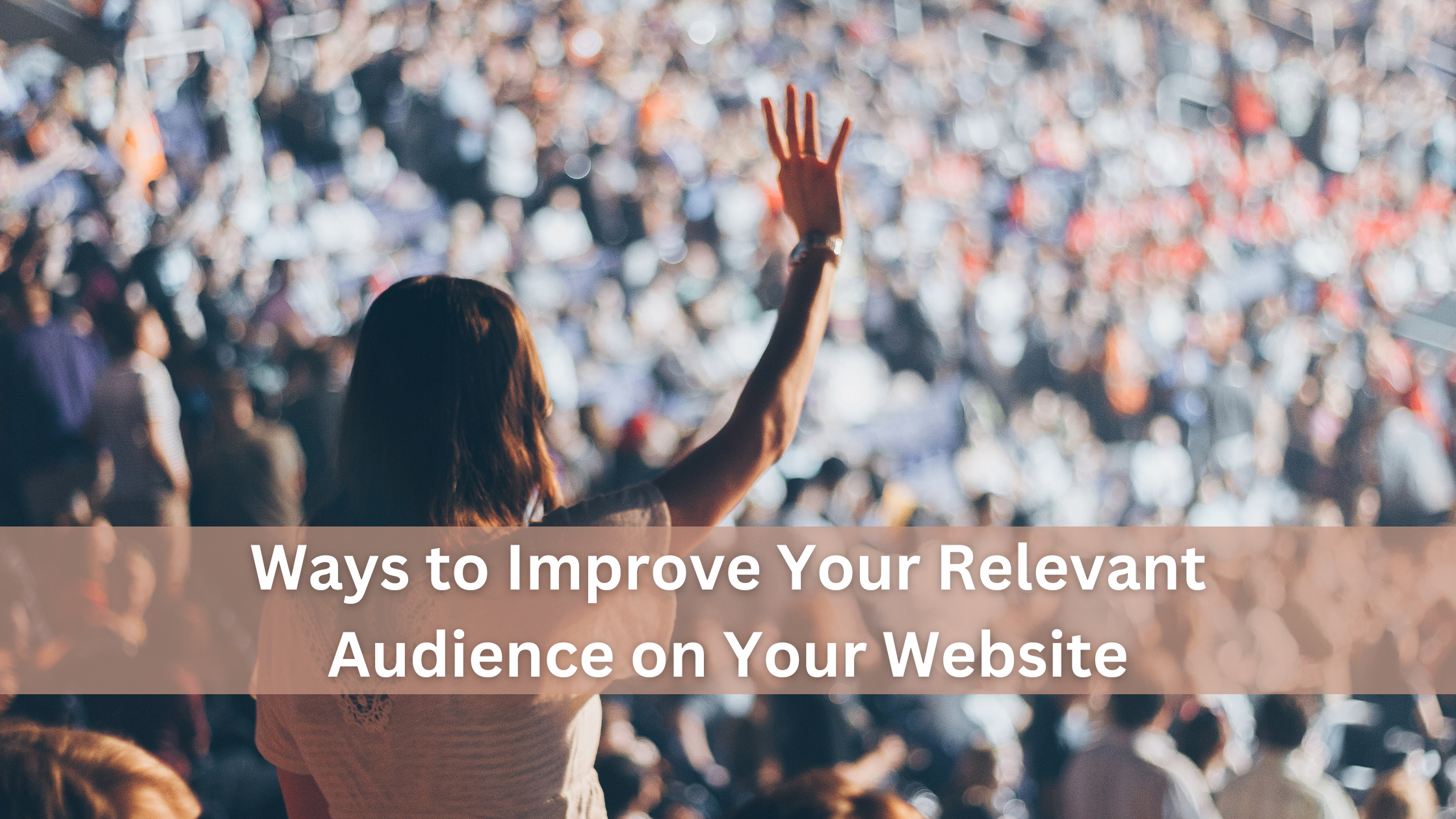 Ways to Improve Your Relevant Audience on Your Website