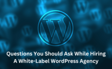 Questions You Should Ask While Hiring a White-Label WordPress Agency