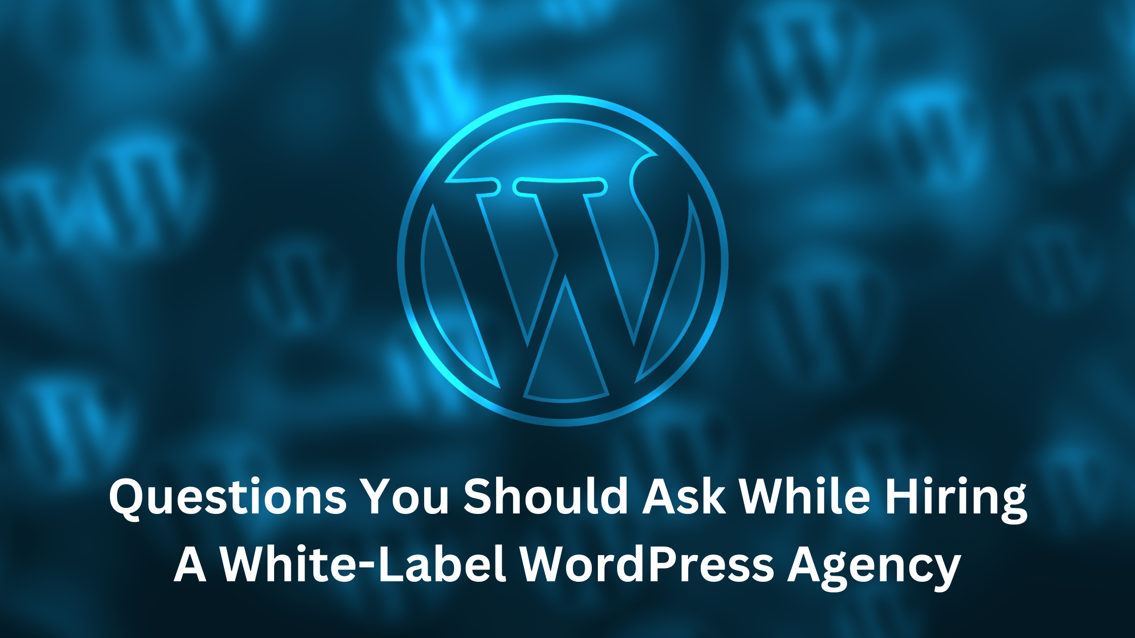Questions You Should Ask While Hiring a White-Label WordPress Agency