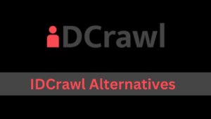 IDCrawl Alternatives